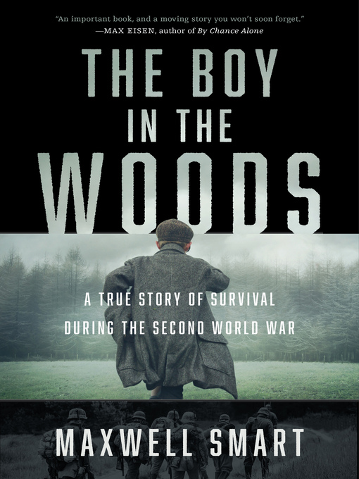 Cover image for The Boy in the Woods